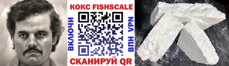 мега как зайти  продажа наркотиков  Данков  Кокаин Fish Scale 