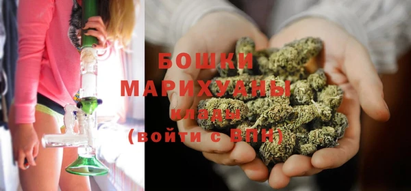 ГАЛЛЮЦИНОГЕННЫЕ ГРИБЫ Волосово