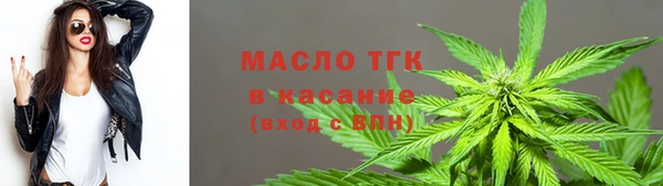 сатива Вяземский