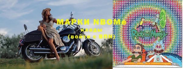 сатива Вяземский