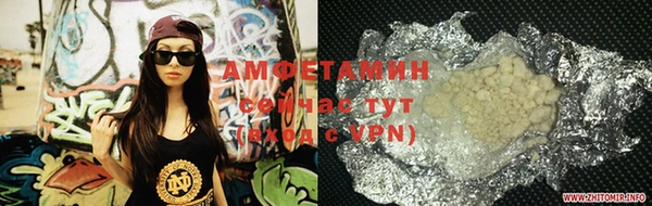 сатива Вяземский