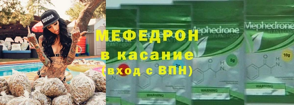 индика Болхов