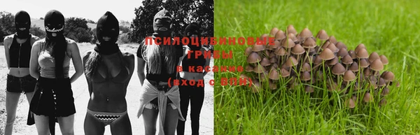 дурь Вязники