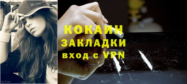 сатива Вяземский